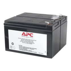 APC Replacement Battery Cartridge #113 - Baterie UPS - 1 x baterie - olovo-kyselina - černá - pro Back-UPS RS 1100