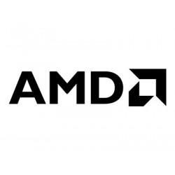 AMD Radeon Pro WX 3200 - Grafická karta - Radeon Pro WX 3200 - 4 GB nízký profil - 4 x Mini DisplayPort