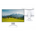 EIZO EV2490-WT LCD IPS/PLS 24", 1920 x 1080, 5 ms, 250 cd, 1 000:1, 60 Hz  (EV2490-WT)