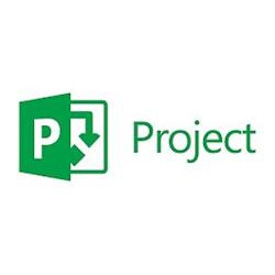 Microsoft Project Online Essentials (Commercial License Monthly P1M)