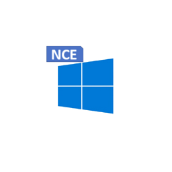 Microsoft Windows 10 11 Enterprise E5 (Commercial License Monthly P1Y)
