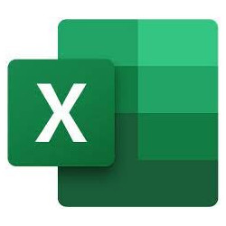 Microsoft Excel LTSC for Mac 2021 (Charity Perpetual OneTime )
