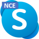 Microsoft Skype for Business Server Enterprise 2019 User CAL (Commercial Perpetual OneTime )