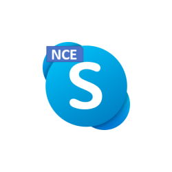 Microsoft Skype for Business Server Enterprise 2019 User CAL (Charity Perpetual OneTime )