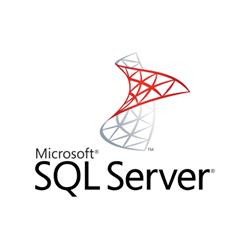 Microsoft SQL Server 2019 - 1 User CAL (Charity Perpetual OneTime )