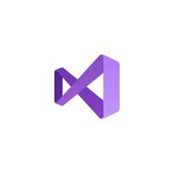 Microsoft Visual Studio Professional 2022 (Commercial Perpetual OneTime )