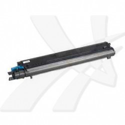 Konica Minolta originální toner 1710-5300-01, black, 6000str., toner+developer, Konica Minolta QMS Magic Color 7300, O