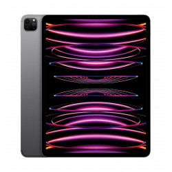 12.9" M2 iPad Pro Wi-Fi + Cell 1TB - Space Grey