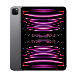 11" M2 iPad Pro Wi-Fi + Cell 128GB - Space Grey