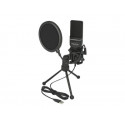 Delock USB Condenser Microphone Set for Podcasting, Gaming and Vocals - Mikrofon - USB - černá