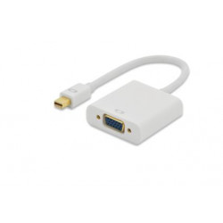 Ednet kabelový adaptér DisplayPort, mini DP samec na HD15 samice (VGA), 0,15 m, Full HD, CE, zlatý, bílý