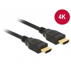 Delock Cable High Speed HDMI with Ethernet HDMI A male  HDMI A male 4K 1 m