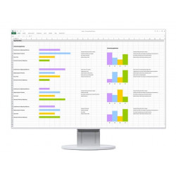 EIZO EV2456 LCD IPS 24,1", 1920 x 1200, 5 ms, 350 cd, 1 000:1, 60 Hz (EV2456-WT)