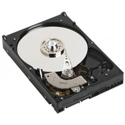 DELL HDD 1TB 7.2K SATA 6Gbps 3.5´´ Cabled Hard Drive