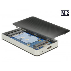 Delock Externí pouzdro M.2 Key B 42 mm mSATA SSD > USB Type-C™ 3.1 Gen 2 samice