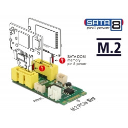 Delock Konvertor M.2 Key B+M samec  2 x SATA pin 8 s napájením samec