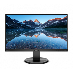 PHILIPS 252B9/00 LCD IPS 25", 1920 x 1200, 5 ms, 300 cd, 1 000:1, 60 Hz (252B9/00)