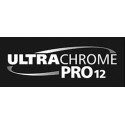 Singlepack Orange T44QA40 UltraChrome PRO 12 350ml