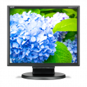 17" LED NEC E172M,1280x1024,TN,250cd,50mm,BK