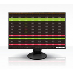 EIZO FlexScan EV2456 24,1" IPS FHD 60Hz 5ms Black 5R