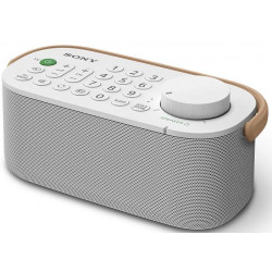 Sony SRS-LSR200 Mono 2W Šedá