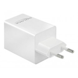 Delock - Síťový adaptér - 60 Watt - 3 A - PD 3.0 (USB-C) - bílá